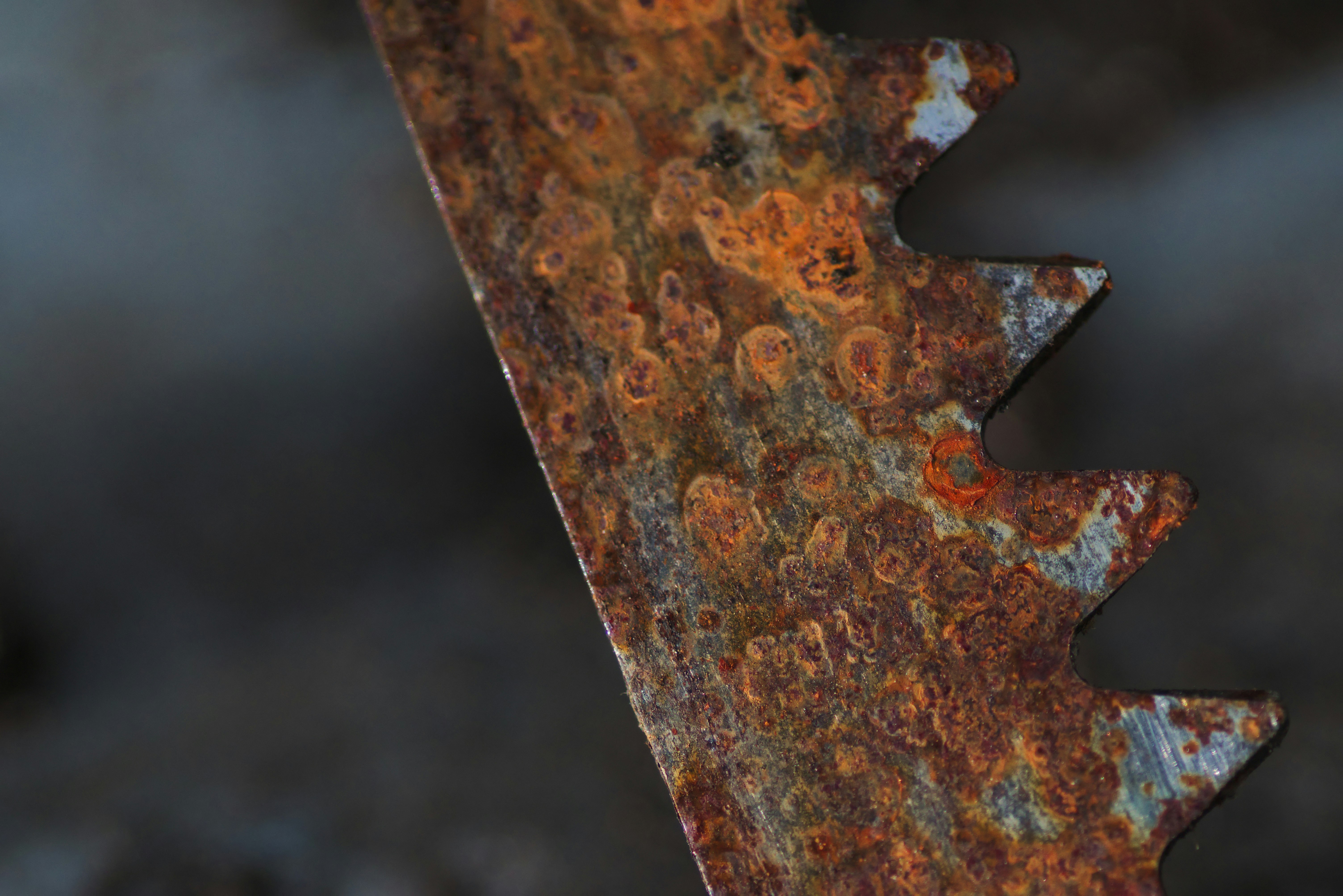 brown wood with water droplets